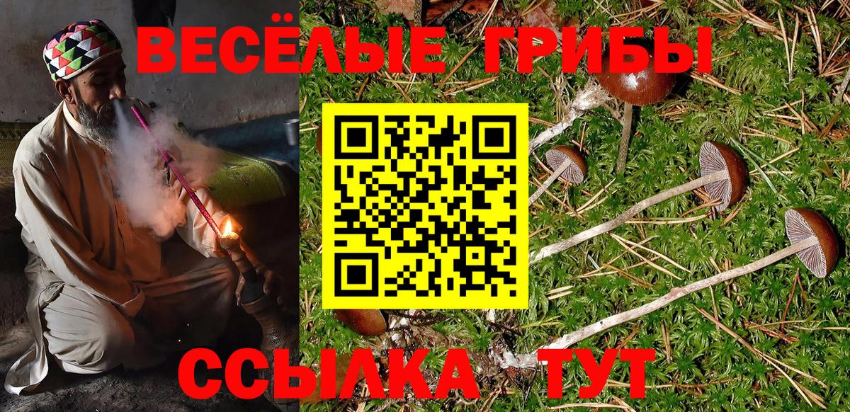 Новокубанск  Галлюциногенные грибы мицелий  Вход с VPN 