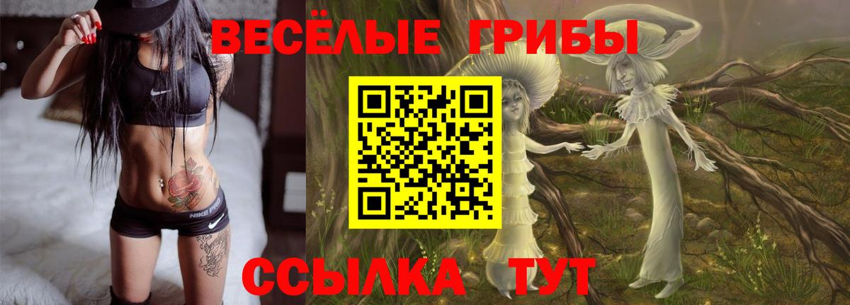 Галлюциногенные грибы GOLDEN TEACHER Новокубанск